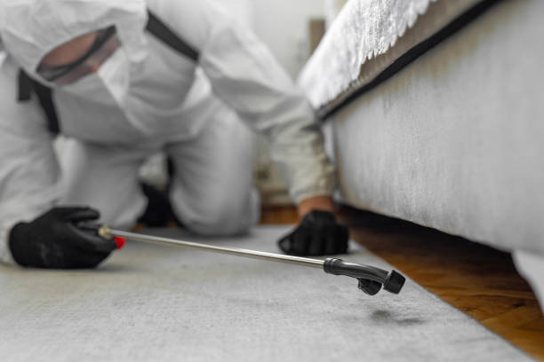 Professional Bed Bug Control technician working in Lochearn, MD