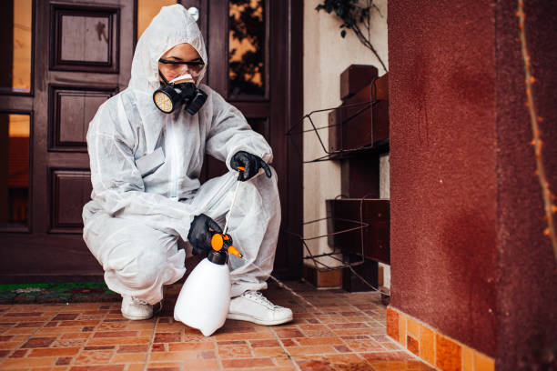 Reliable Bed Bug Control contractor in Lochearn, MD by Nex Pest Control