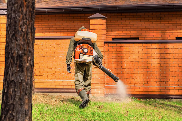 Top rated local Bed Bug Control specialists in Lochearn, MD